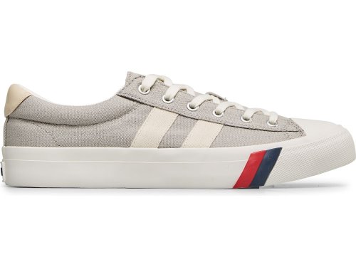 Keds Royal Plus Canvas Sneakers Heren Diepgrijs | NL-18729